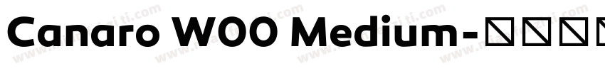 Canaro W00 Medium字体转换